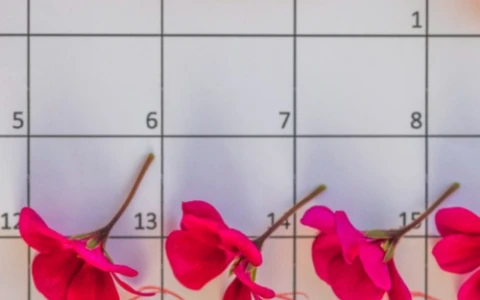 Capoparto: la guida completa di Saugella